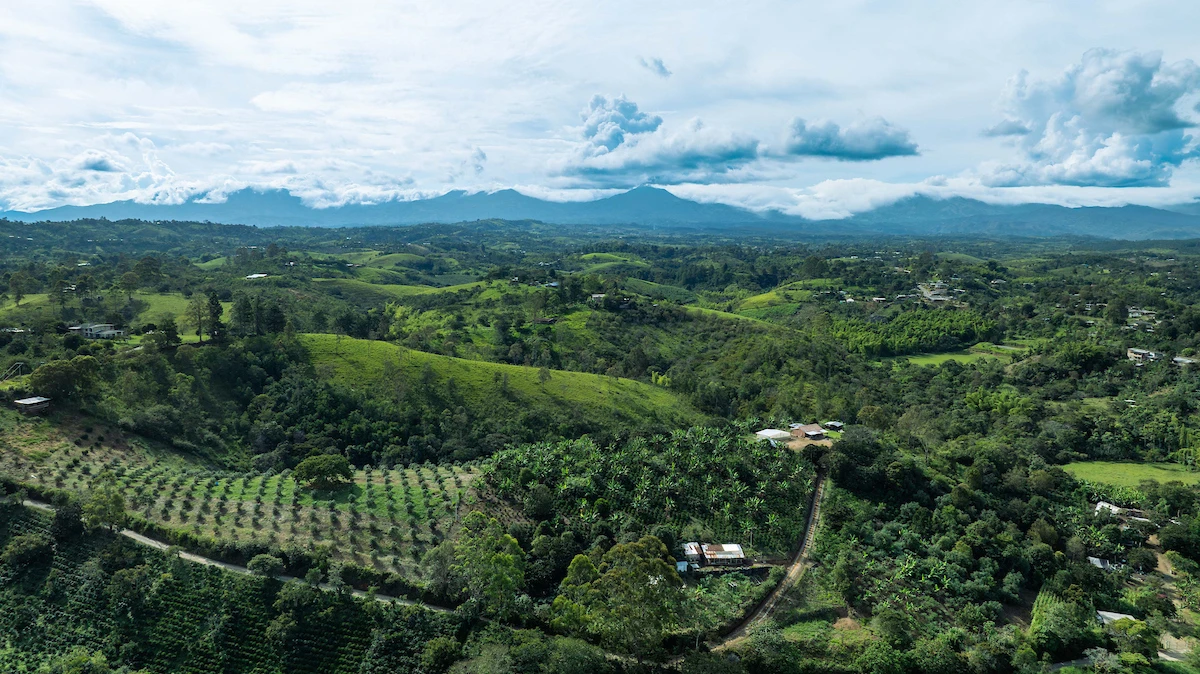 Colombia coffee farm