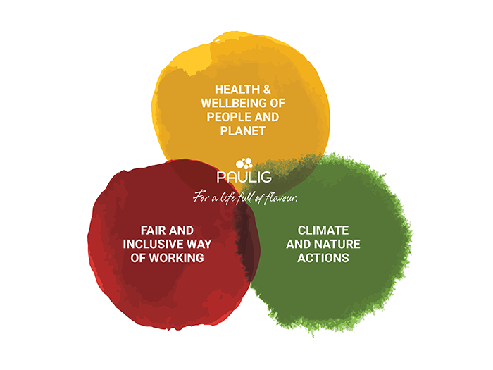 Sustainability Programme Key Visual