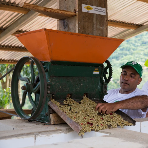 Washing beans