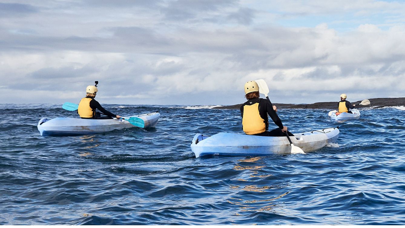 Paddle the Bay