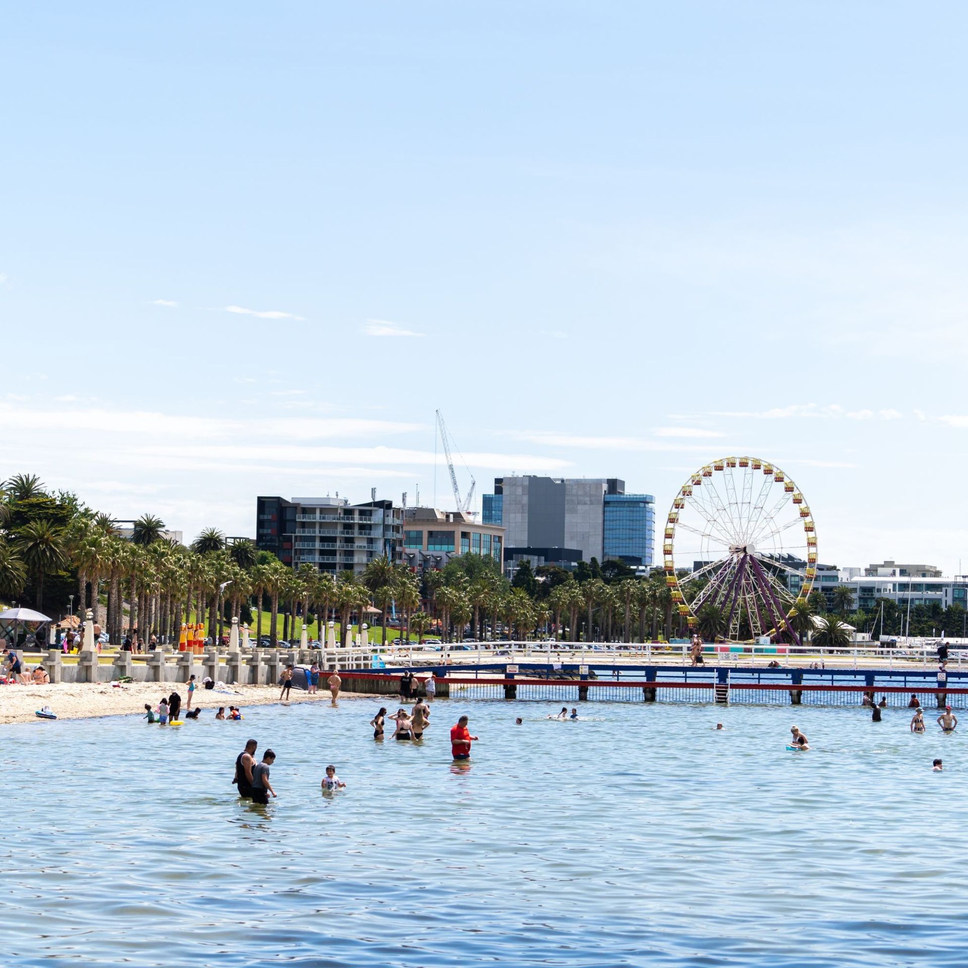 View from the water facing the City of Geelong. A ferris wheel and pier can be see in the distance with various people swimming in the water in the forefront. 