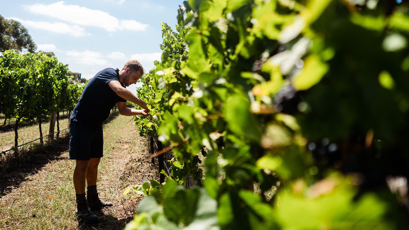 Makers of the Bellarine