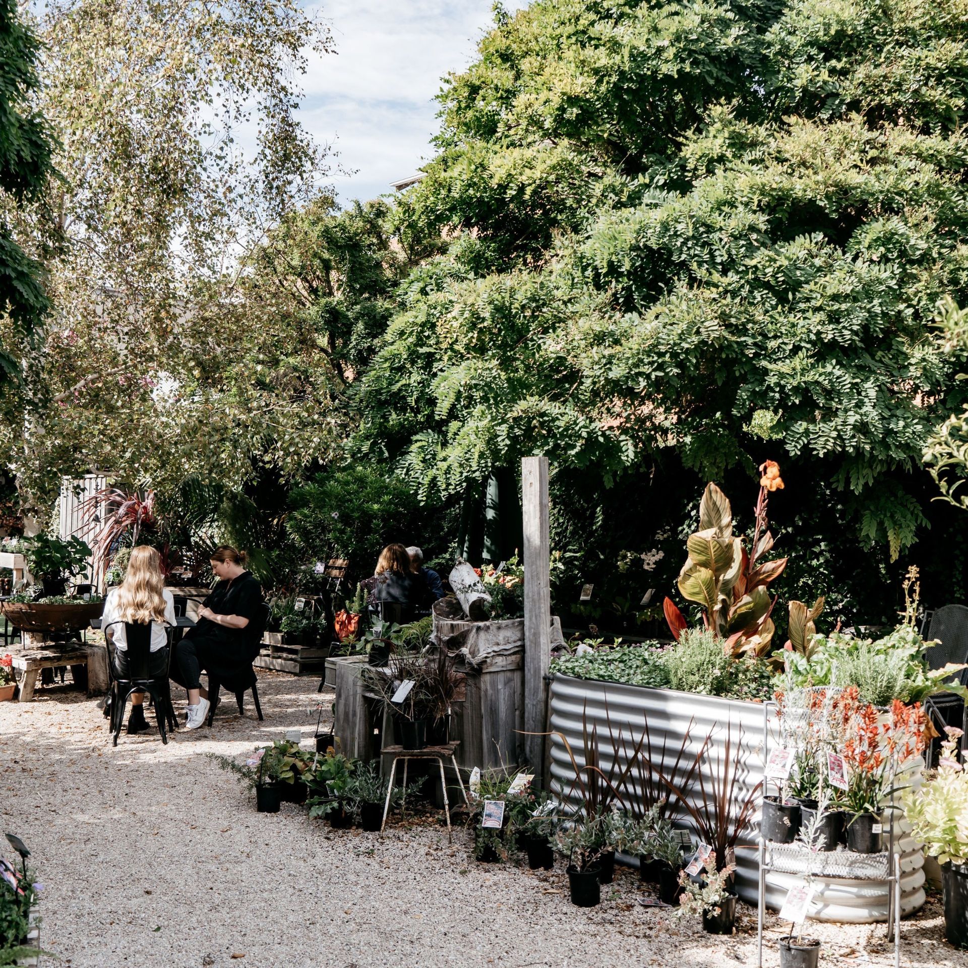 Outside cafe surrounded by lots of greenery. 