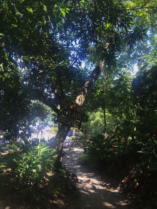 Walking Path to the Beach