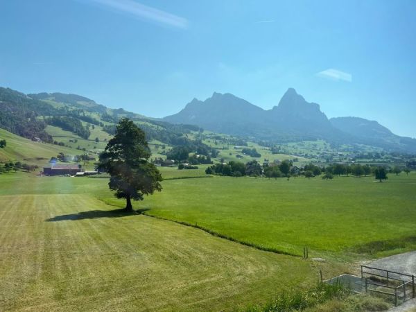 Nice views from the train!