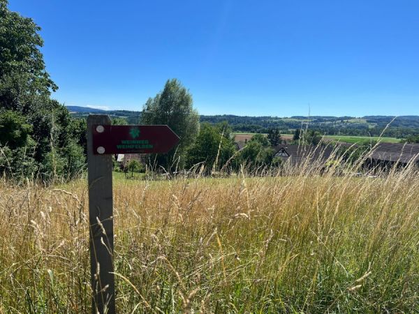 Marker pointing the way to the wine trail.