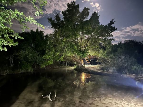 Dinner was served next to this little pond.