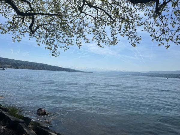 View of the lake from our table.