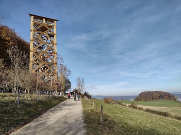 Tower on the Hasenberg