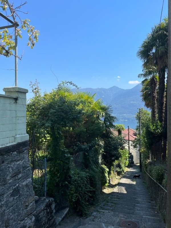 View from walk up to Orselina station. Notice the gato.