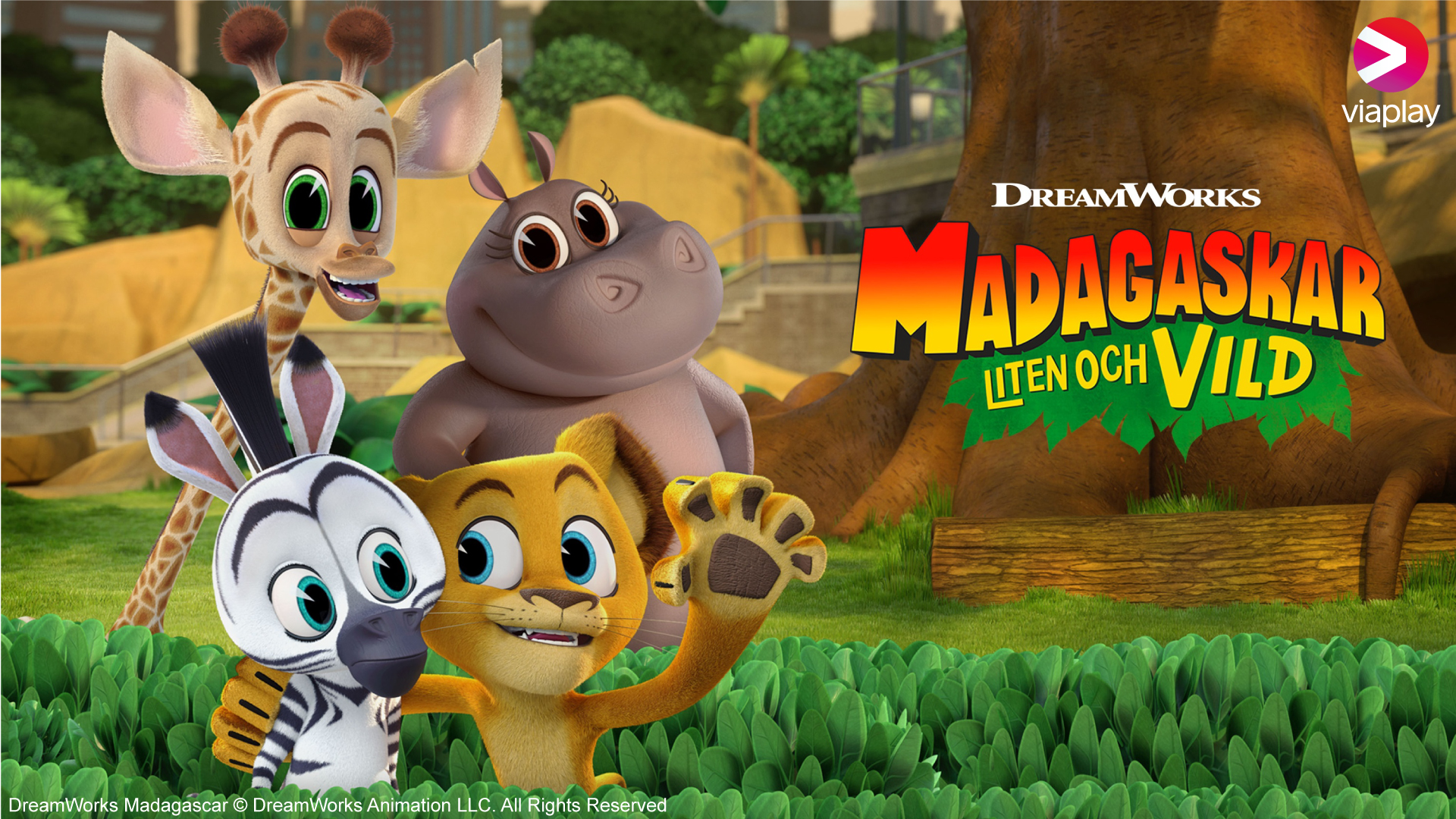 Omslag: Madagaskar: Liten och vild S2