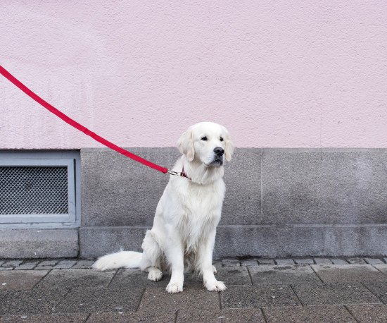 Säkerhetspaket foto