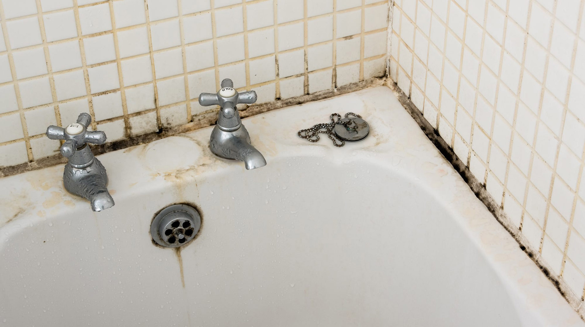 Bathtub Mold