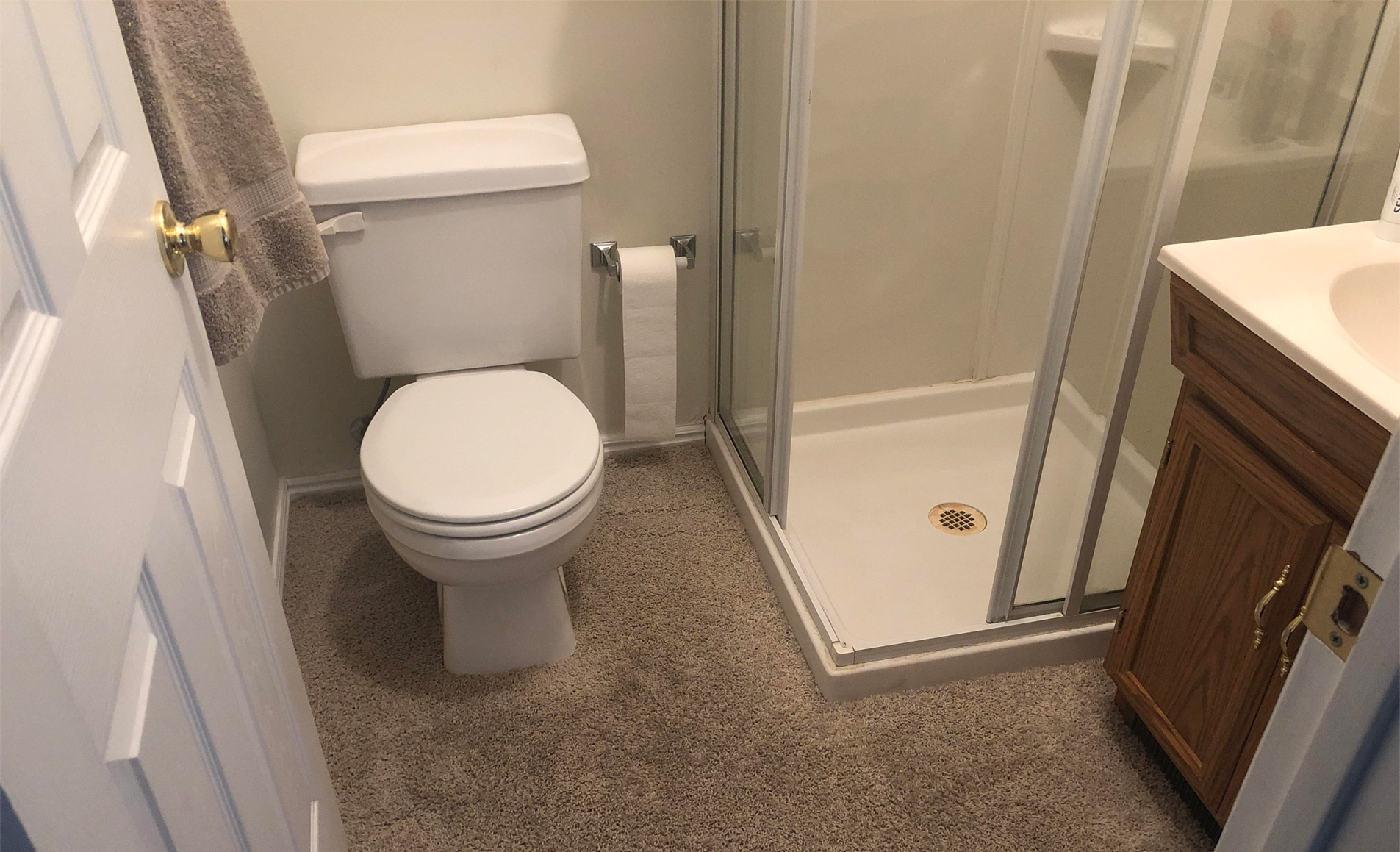 Carpeted Bathroom