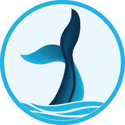 ballena.io