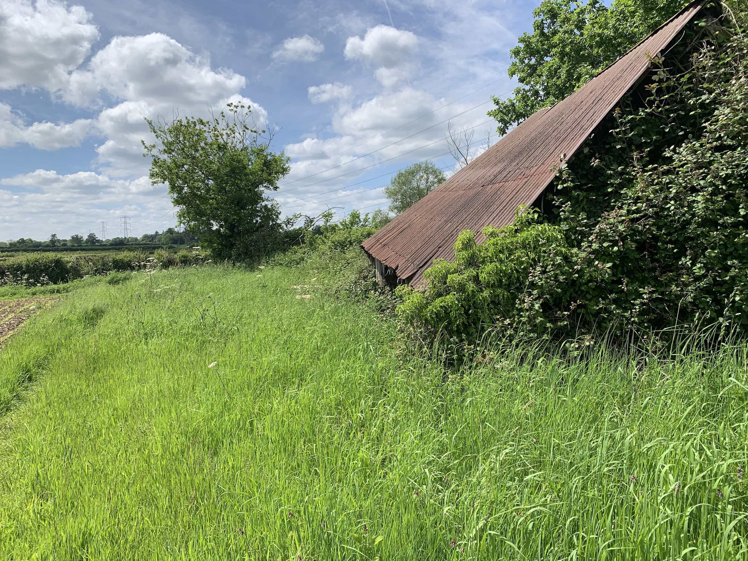 corrugated metal roof