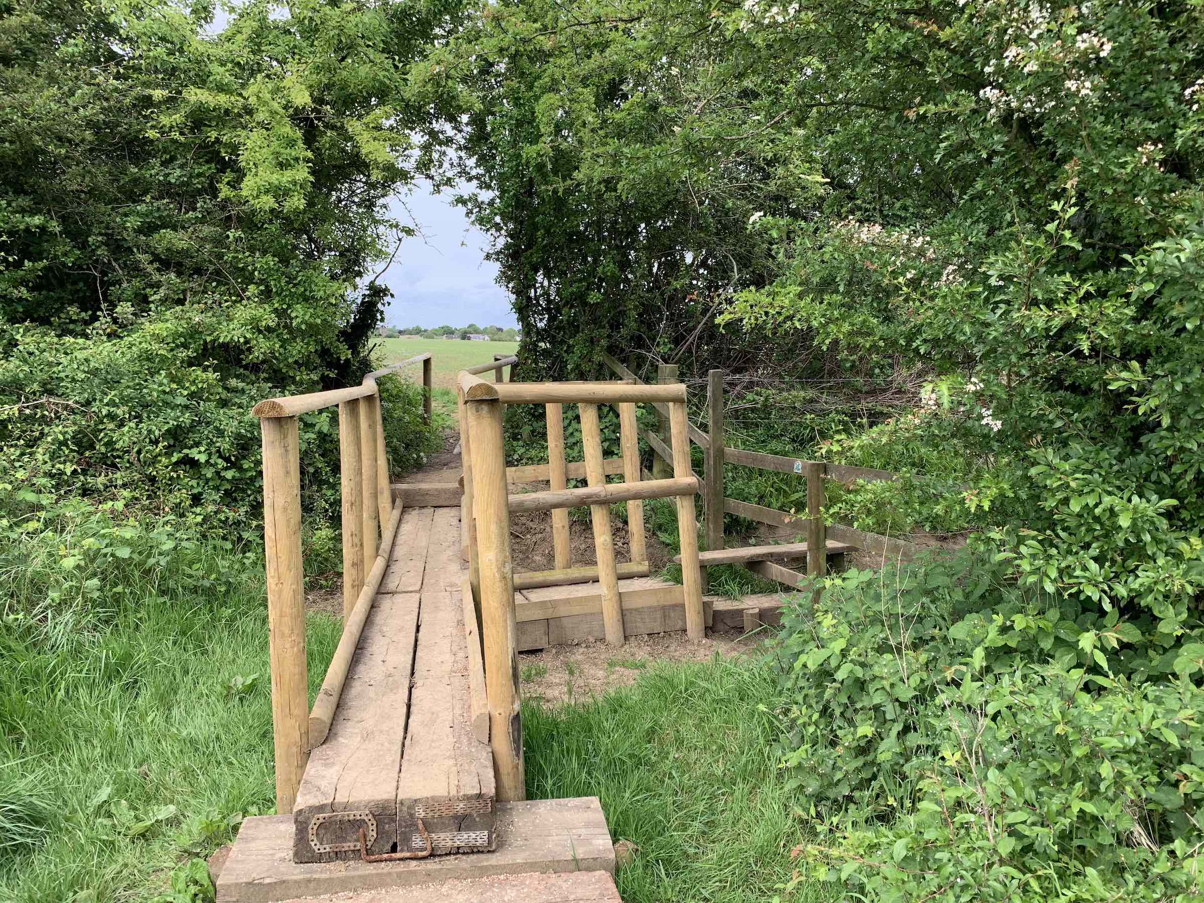 Boardwalk into Big Field
