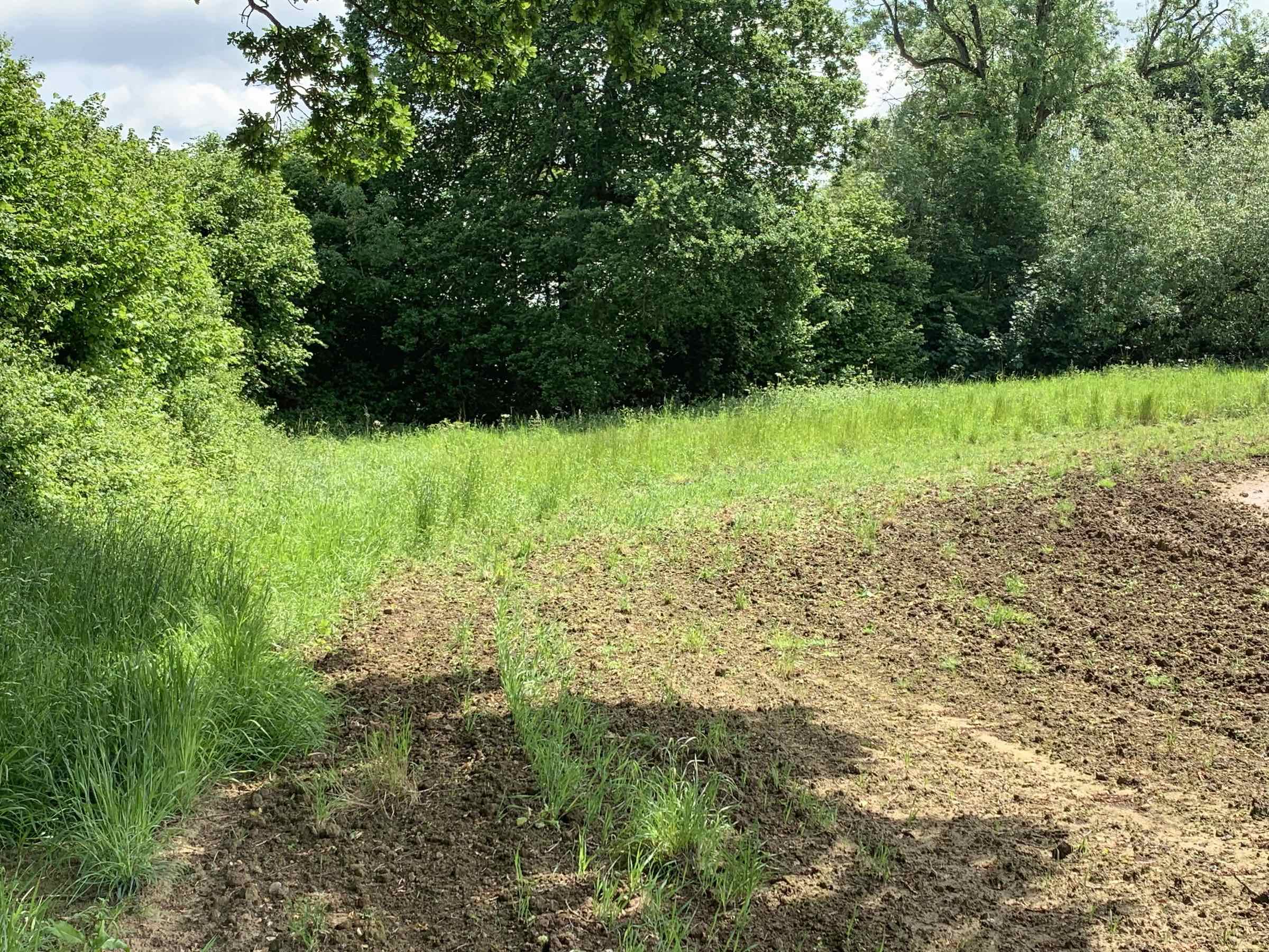 First corner of double field