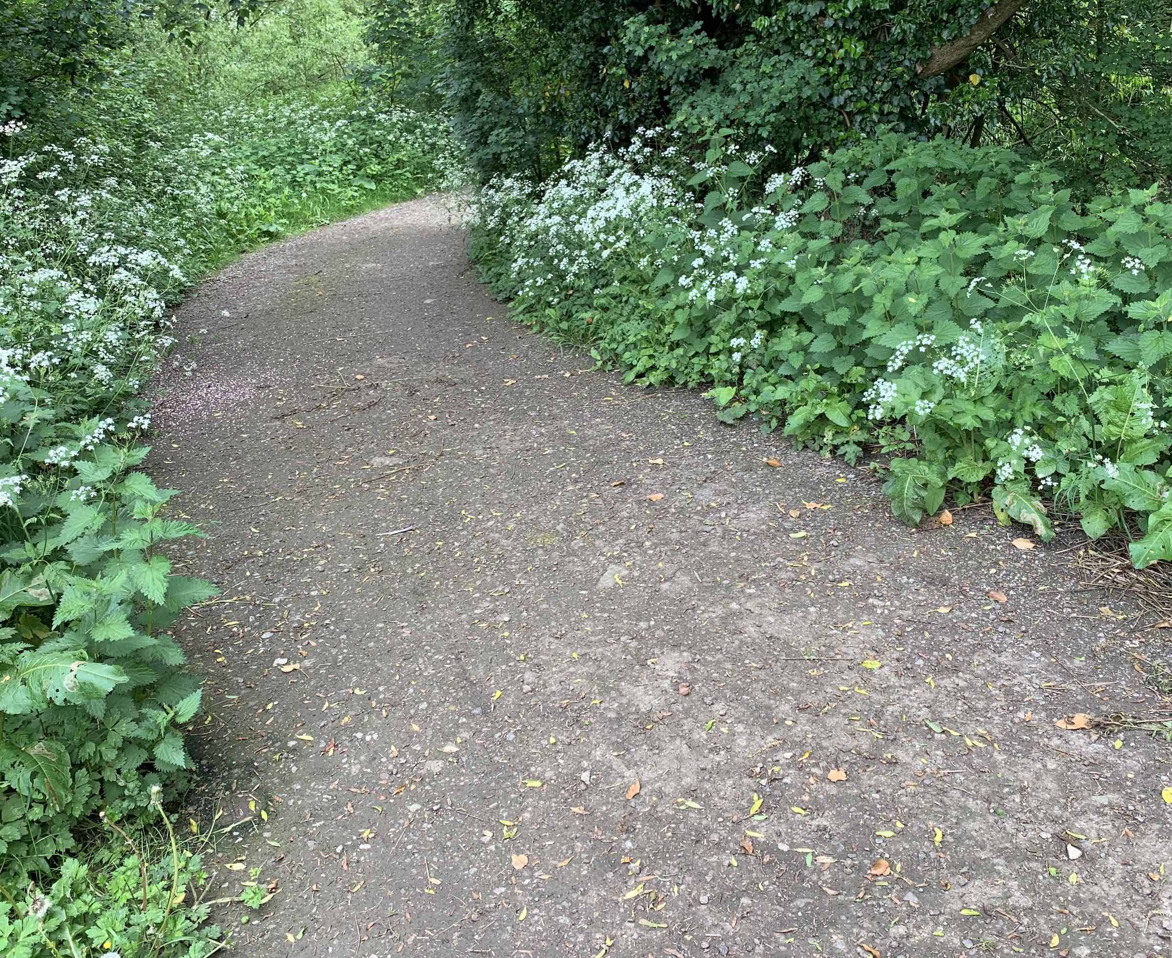 Left on the bridleway to the River Avon