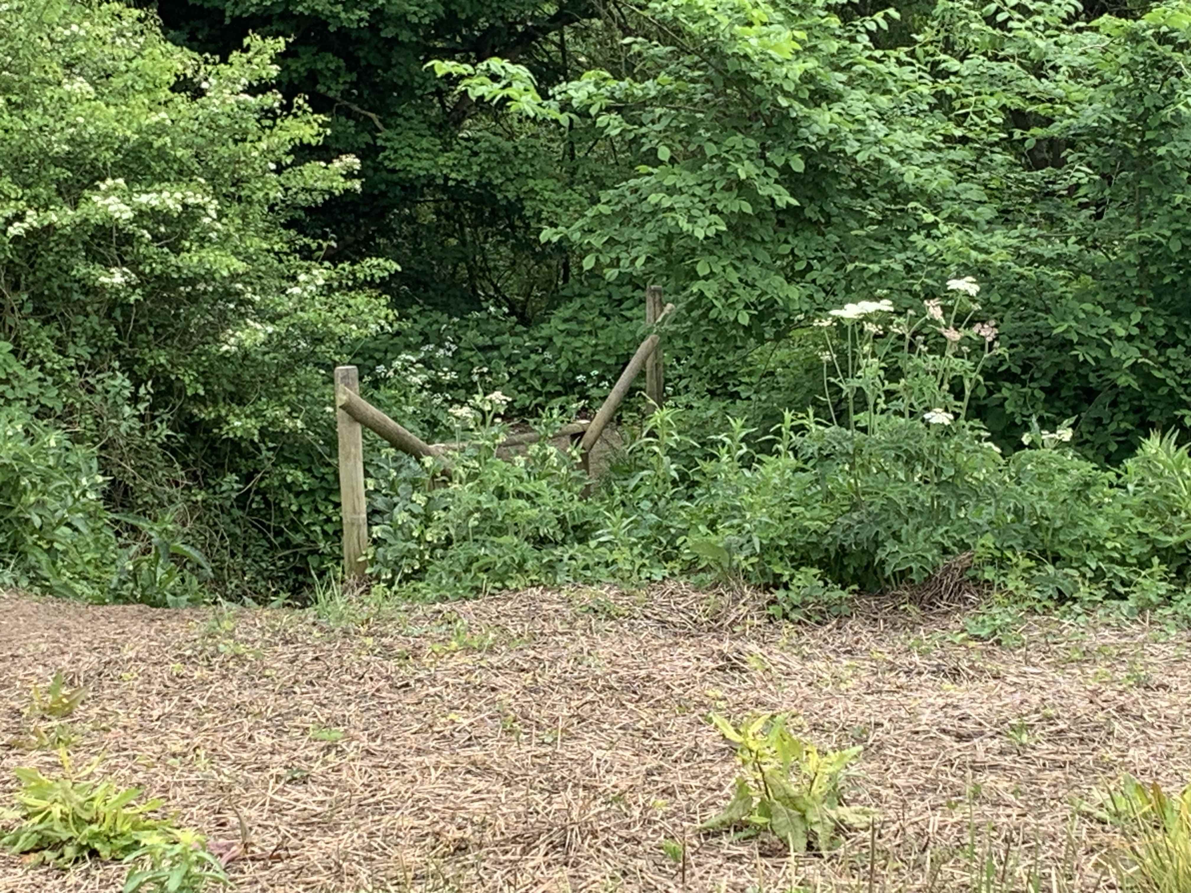 bridge onto bridleway