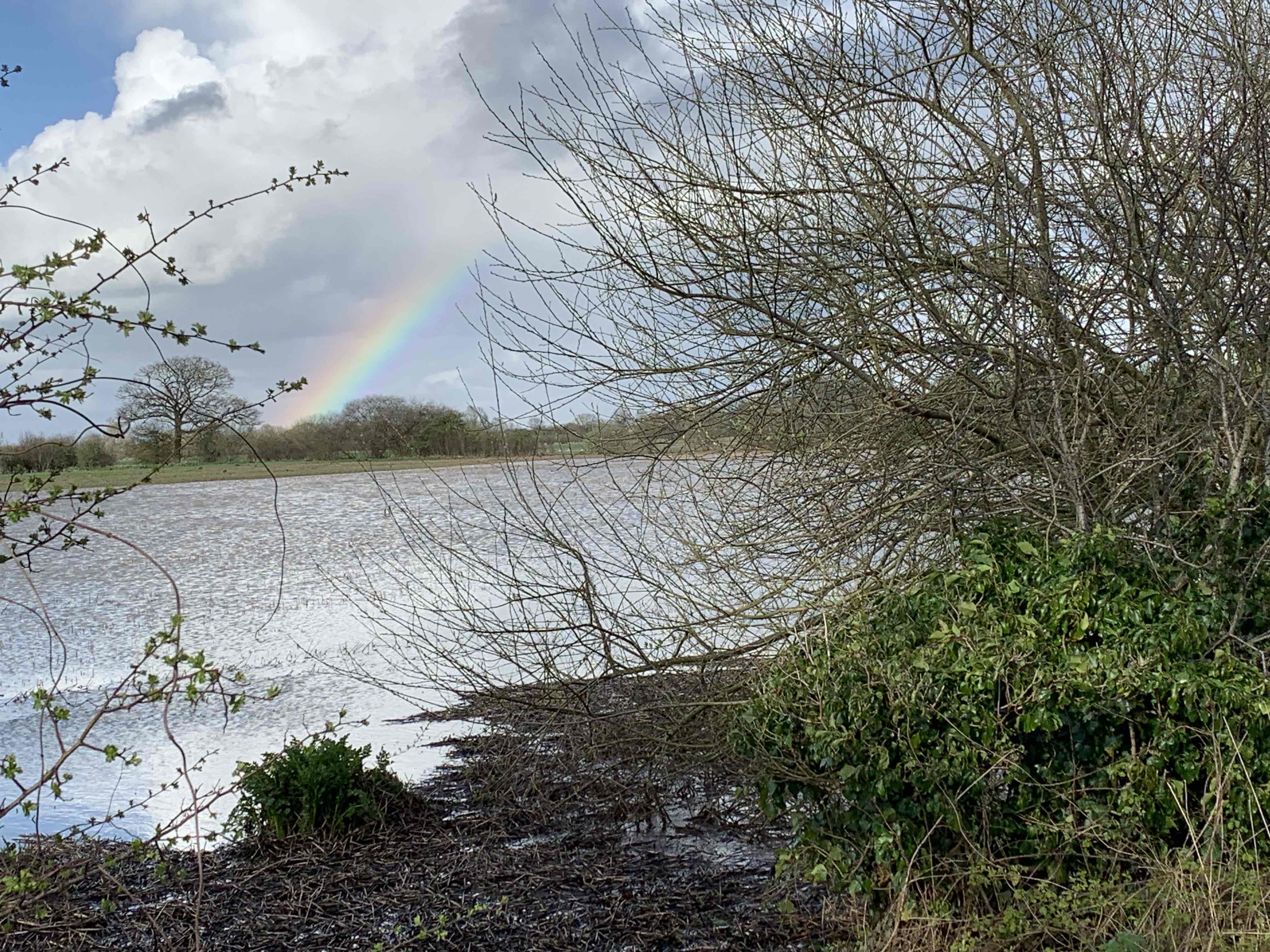 Flooded water meadow