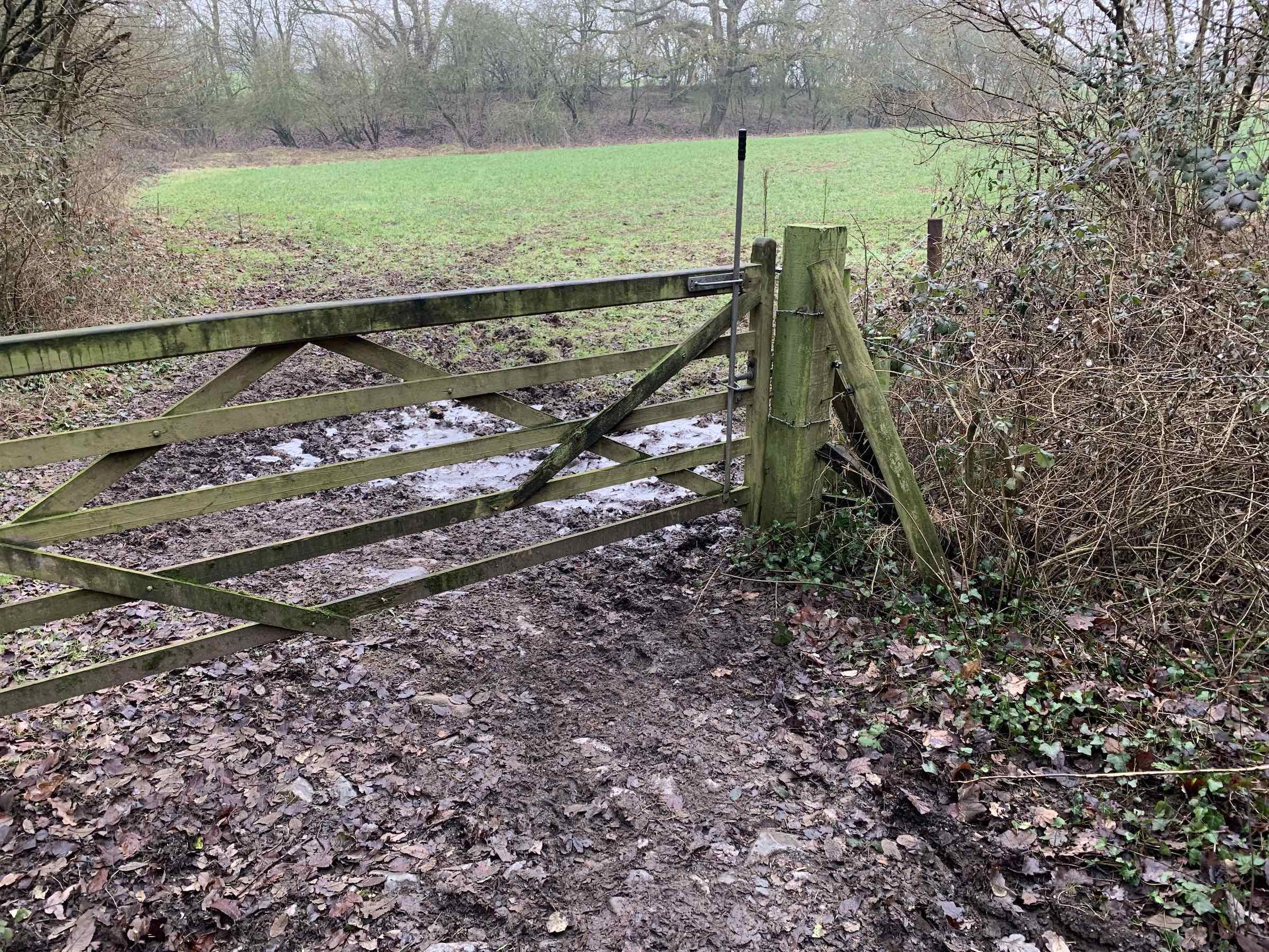 muddy gateway