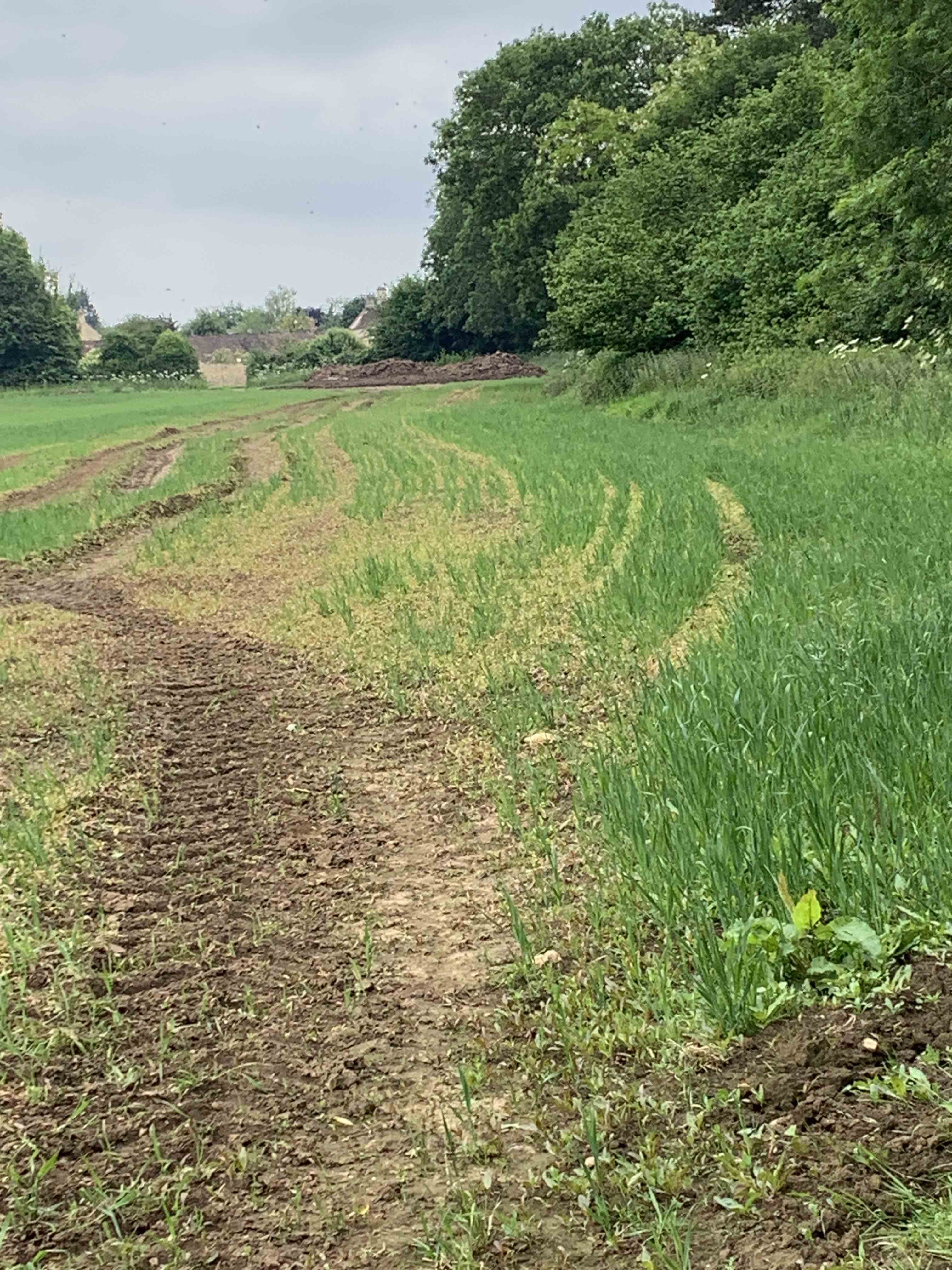 Towards the main road