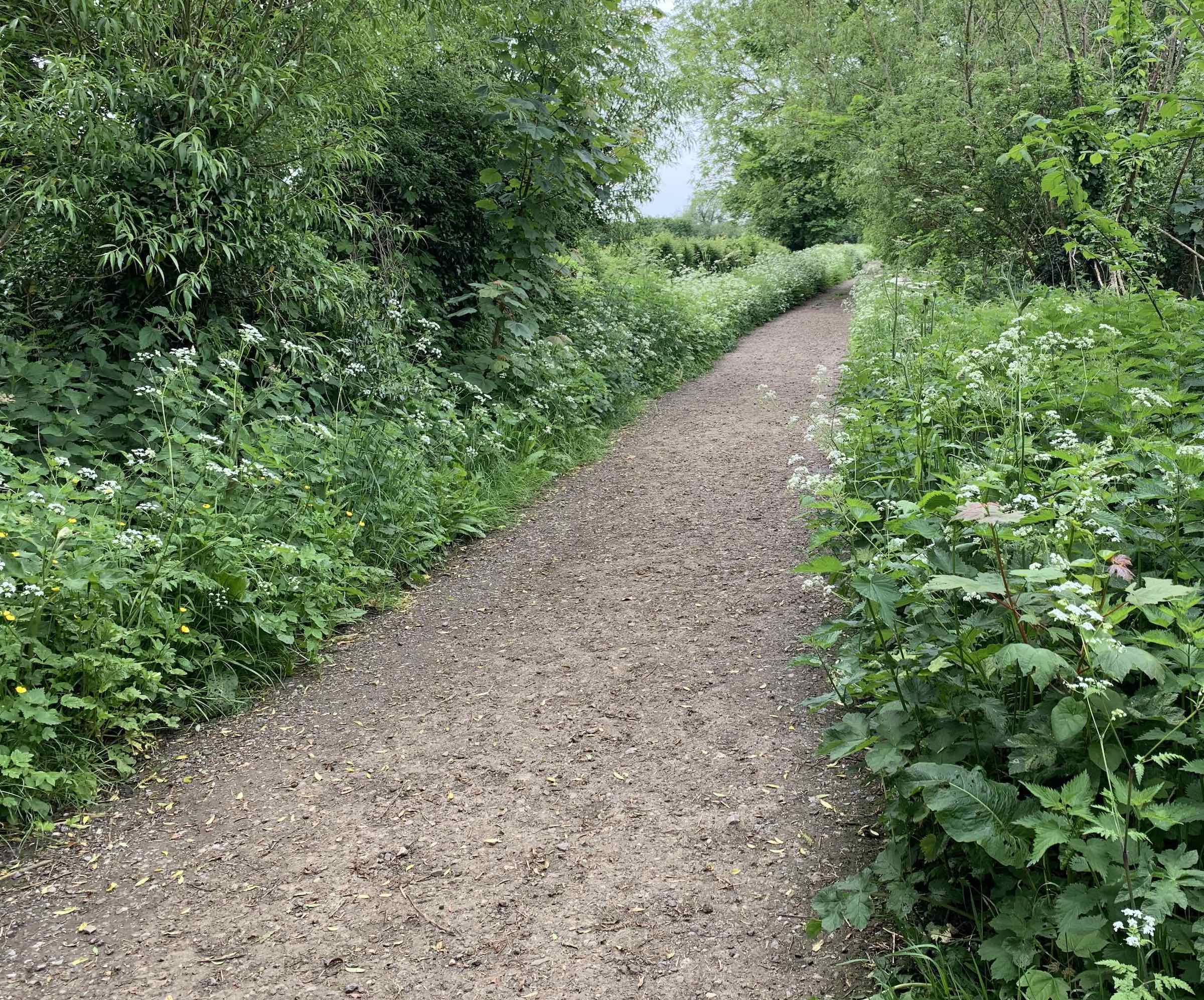 Right on the bridleway to Sutton Lane