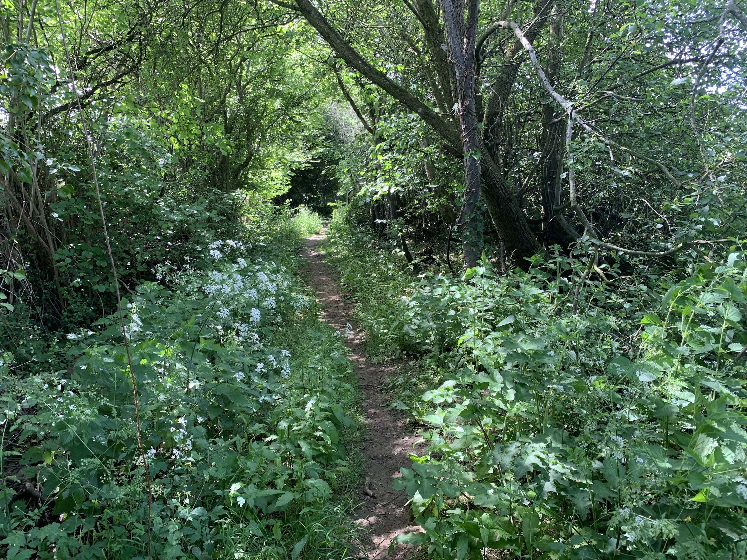 Narrow bridleway 