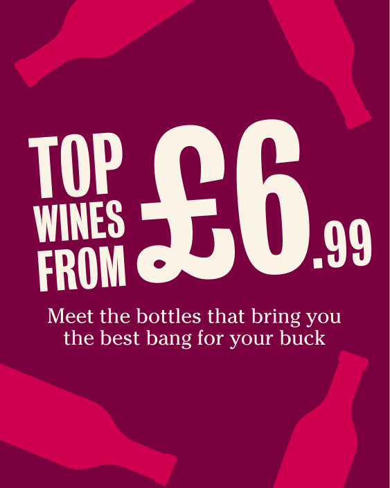TOP WINES FROM £6.99 - Meet the bottles that bring you best bang for buck