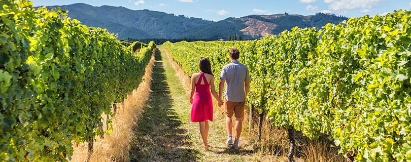 A couple on holiday in New Zealand visiting a vineyard in Marlborough walking amongst grapevines - wine regions