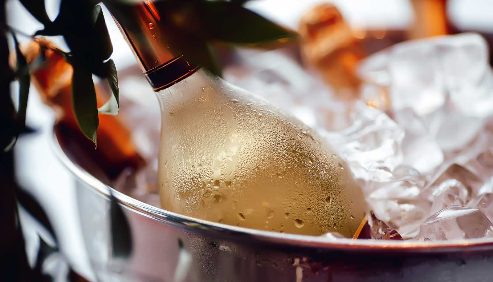 A bottle of white wine chilling in a bucket - wine tips