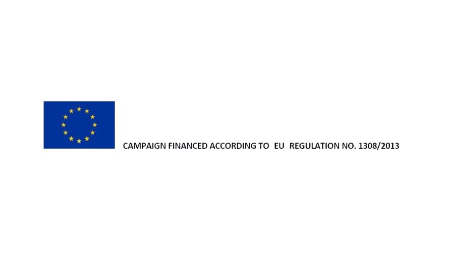 EU regulation logo