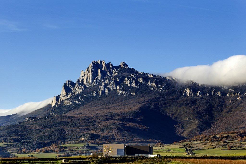 Altos winery Rioja