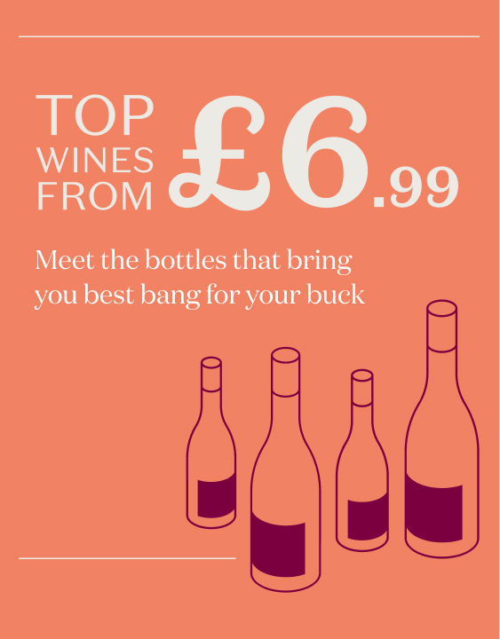 TOP WINES FROM £6.99 - Meet the bottles that bring you best bang for buck