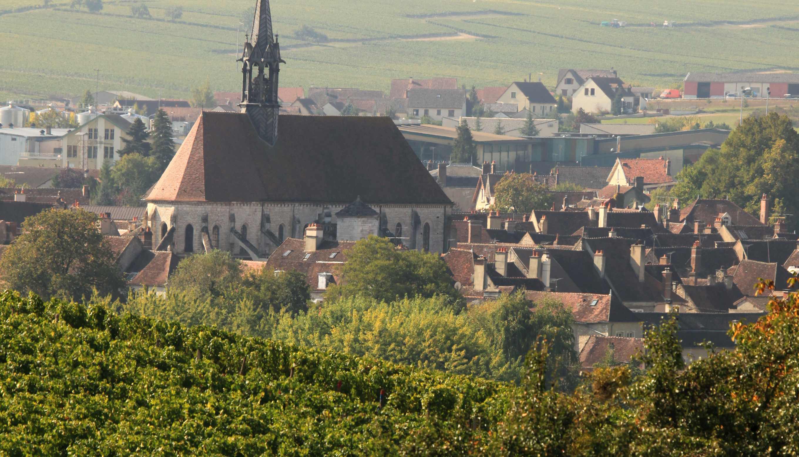 Pretty Burgundian village with vineyard in foreground