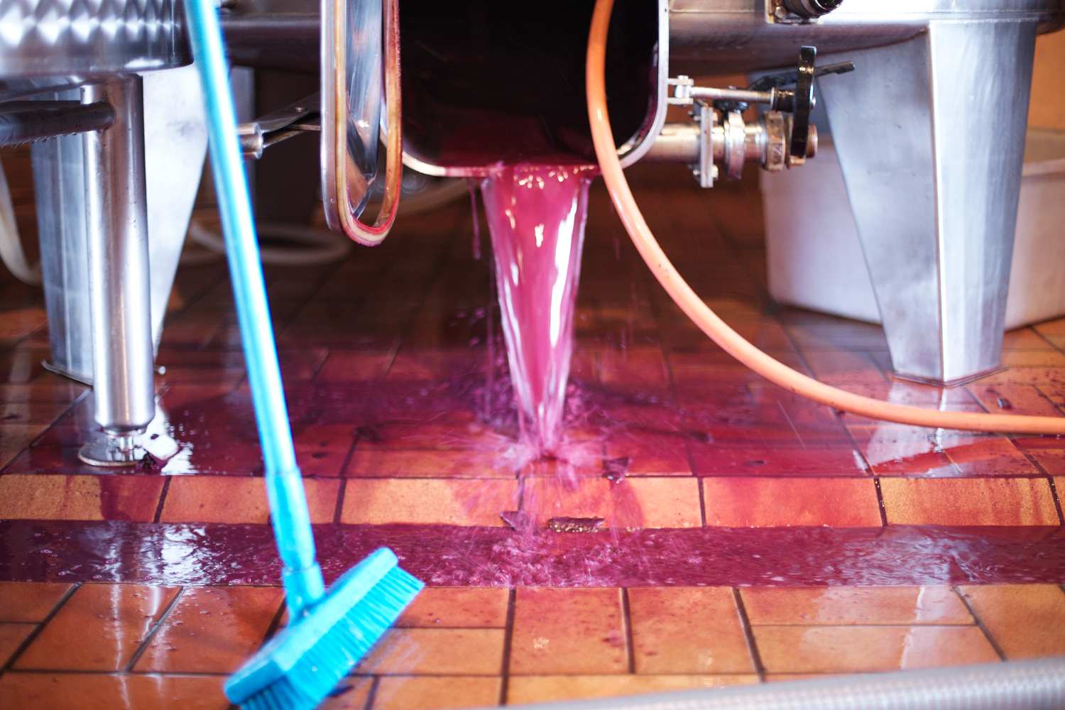 Cleaning in the winery - winter in the vineyards