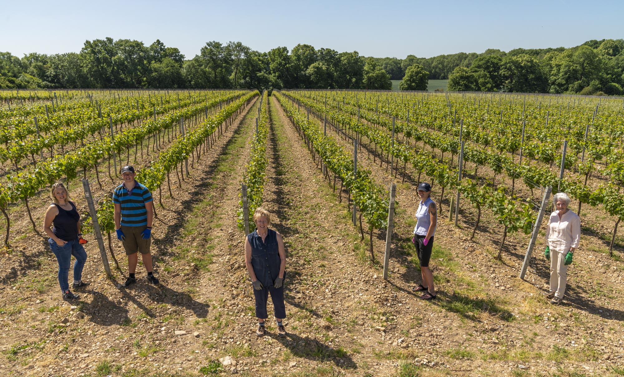 Barbara and the Wyfold team standing with the backdrop of the vineyard