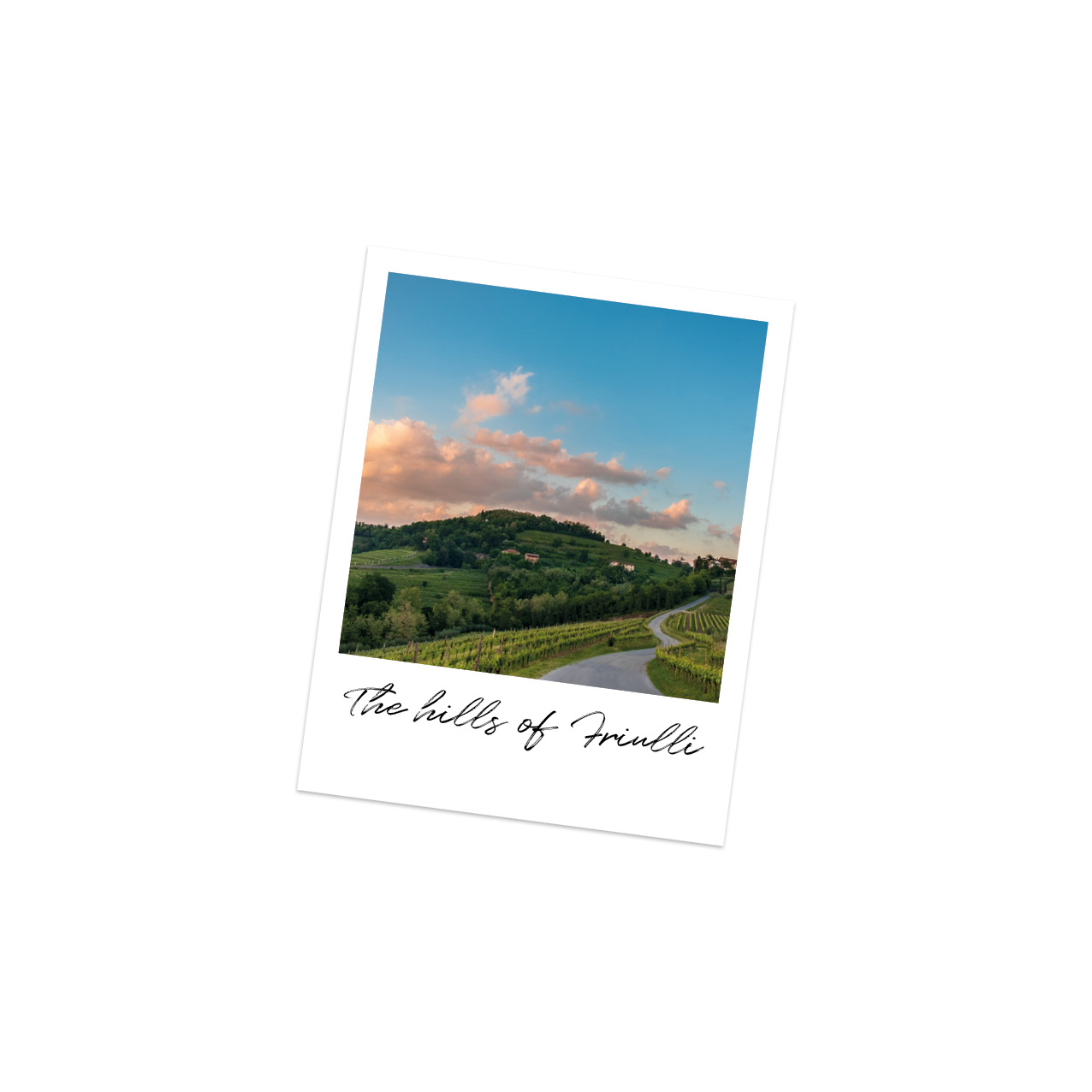 The sun goes down in the vineyards of Friuli-Venezia Giulia, Italy