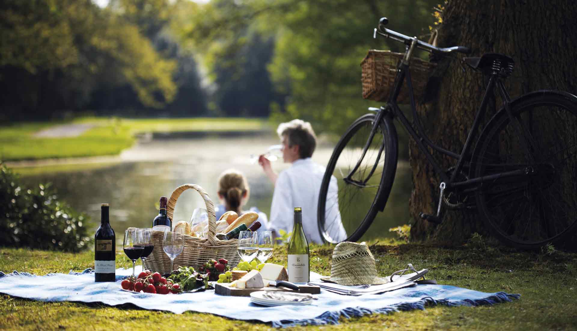An image of a picnic with food and wine