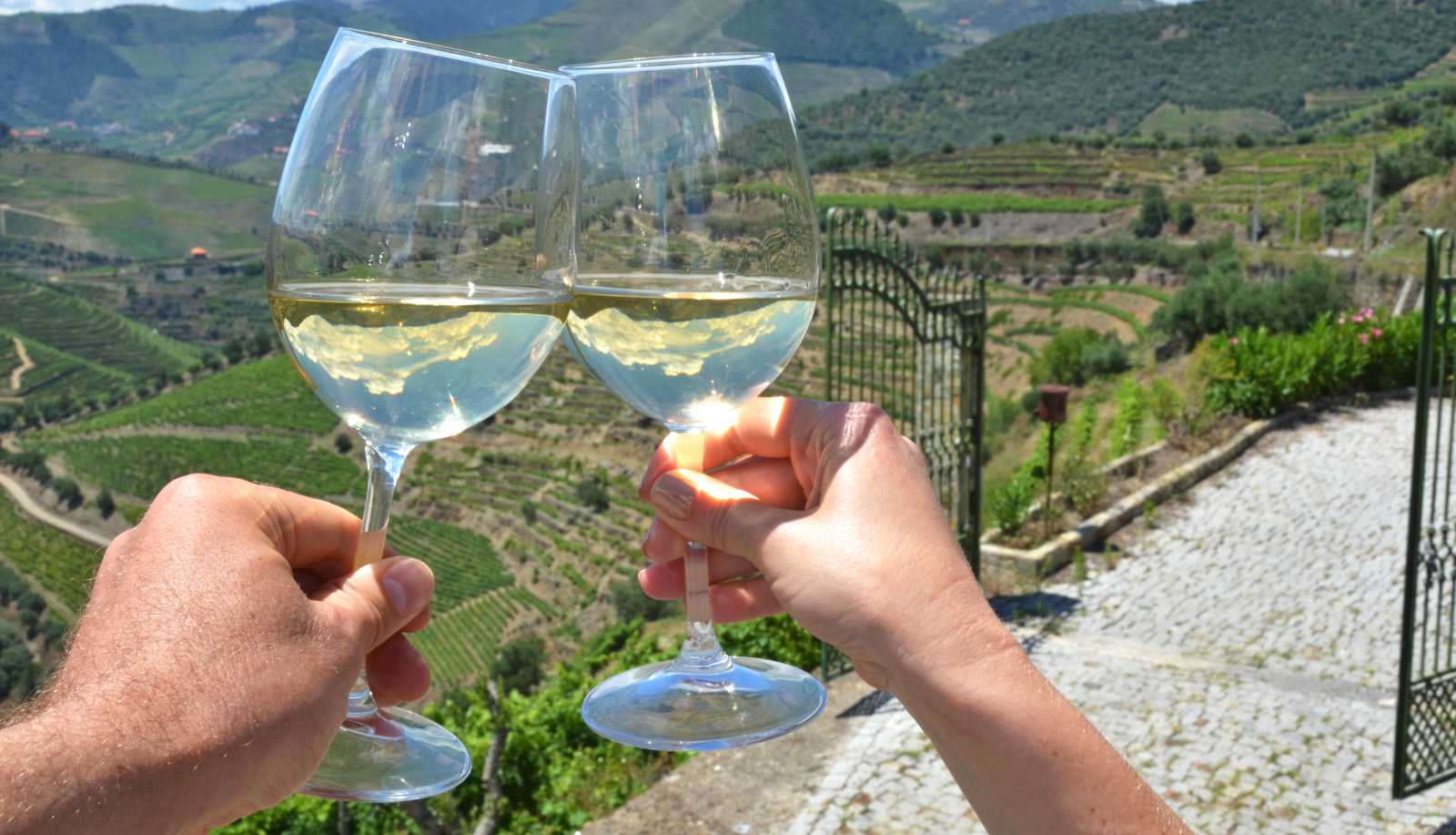 Vinho Verde - two people raise their glass looking out at a vineyard
