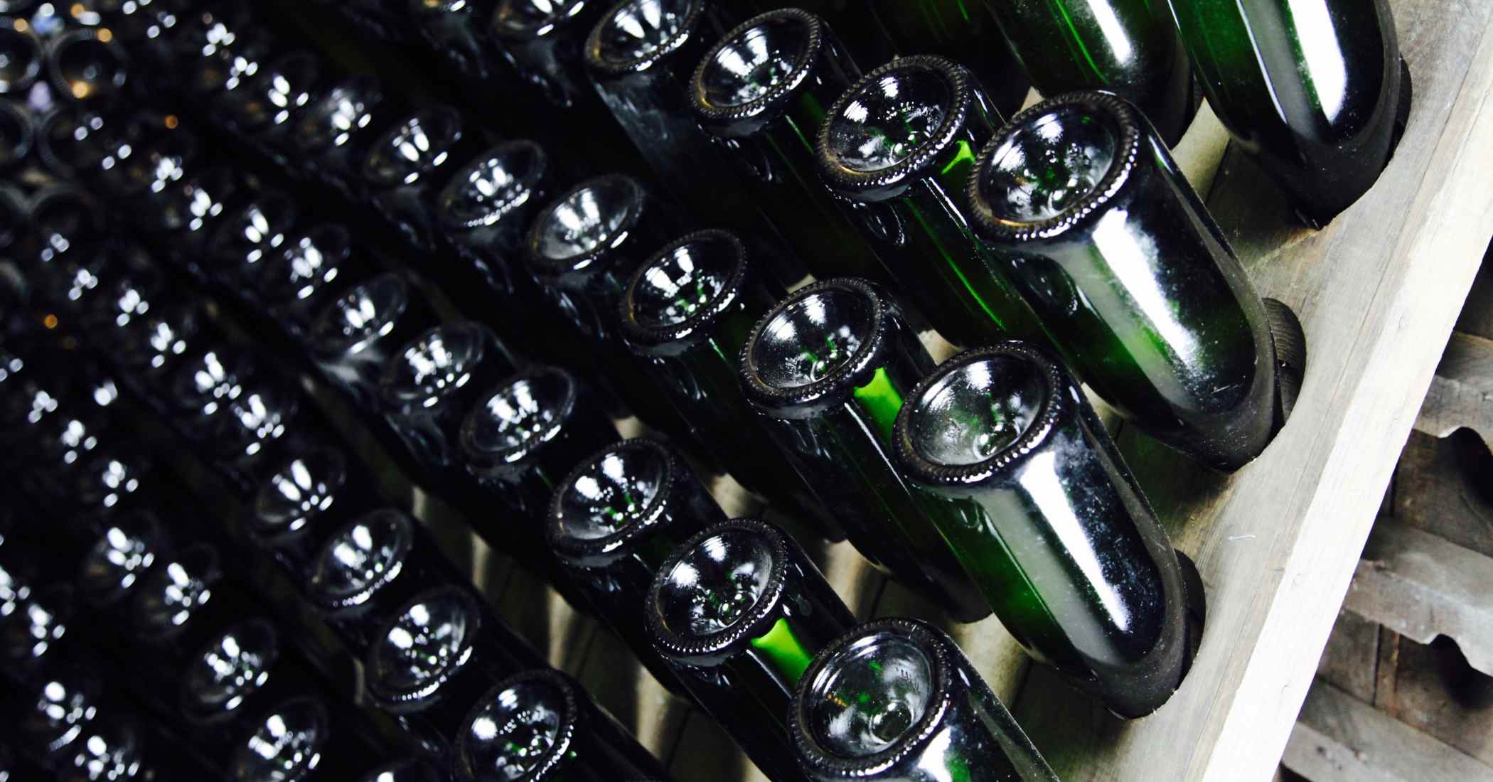 Lots of green wine bottles slotted bottom up into a riddling rack