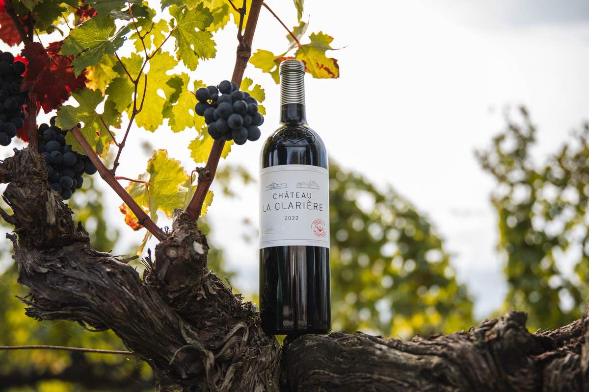 A bottle of the 2022 Chateau La Clariere balancing on a vine