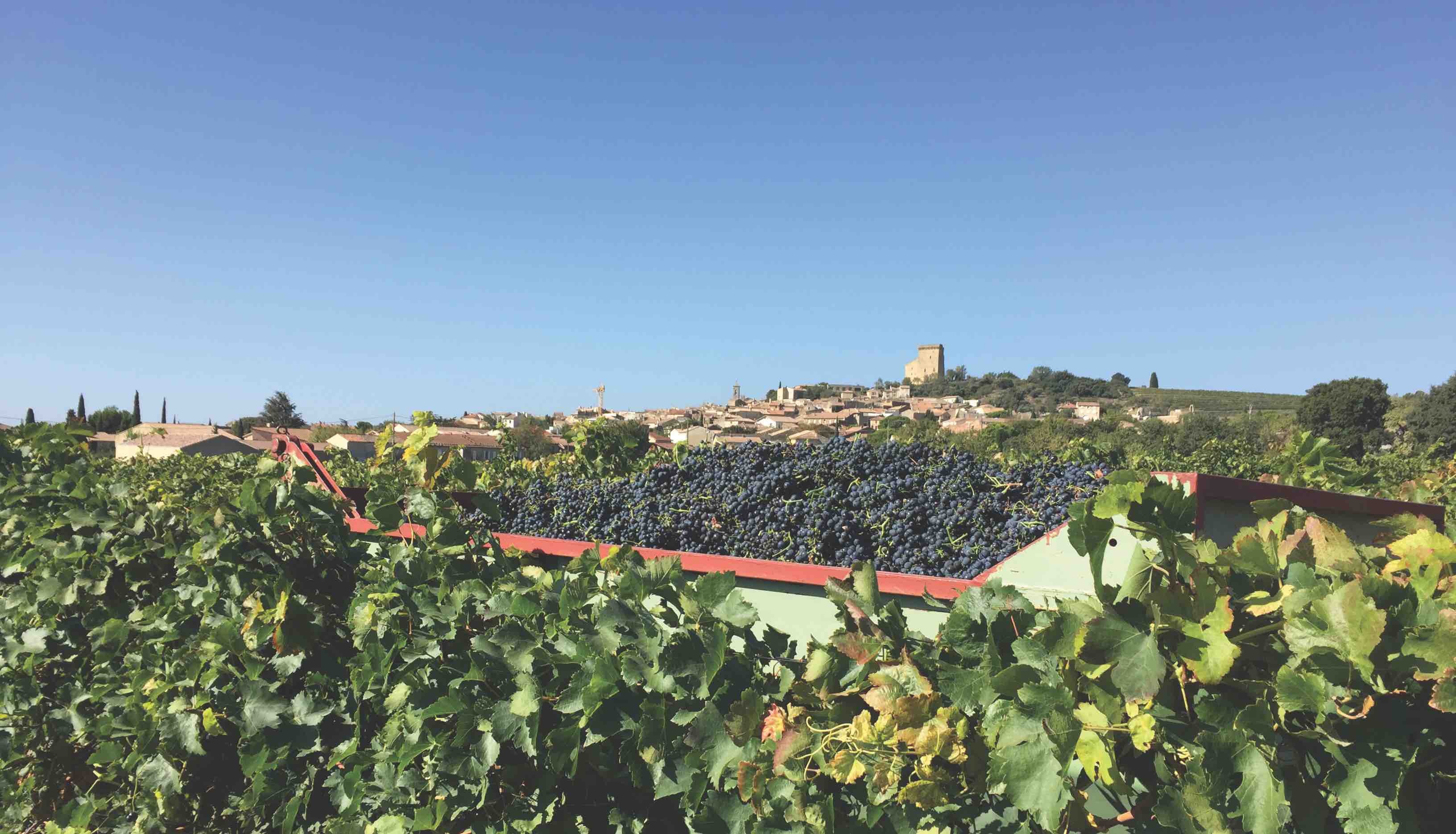 Châteauneuf-du-Pape village and castle