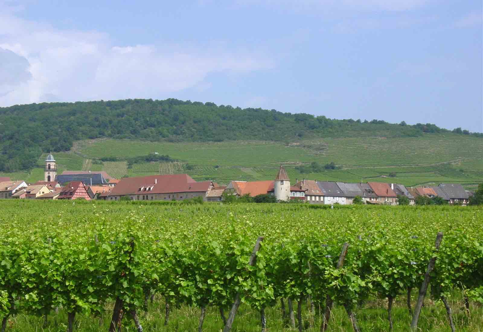 Alsace during the summer