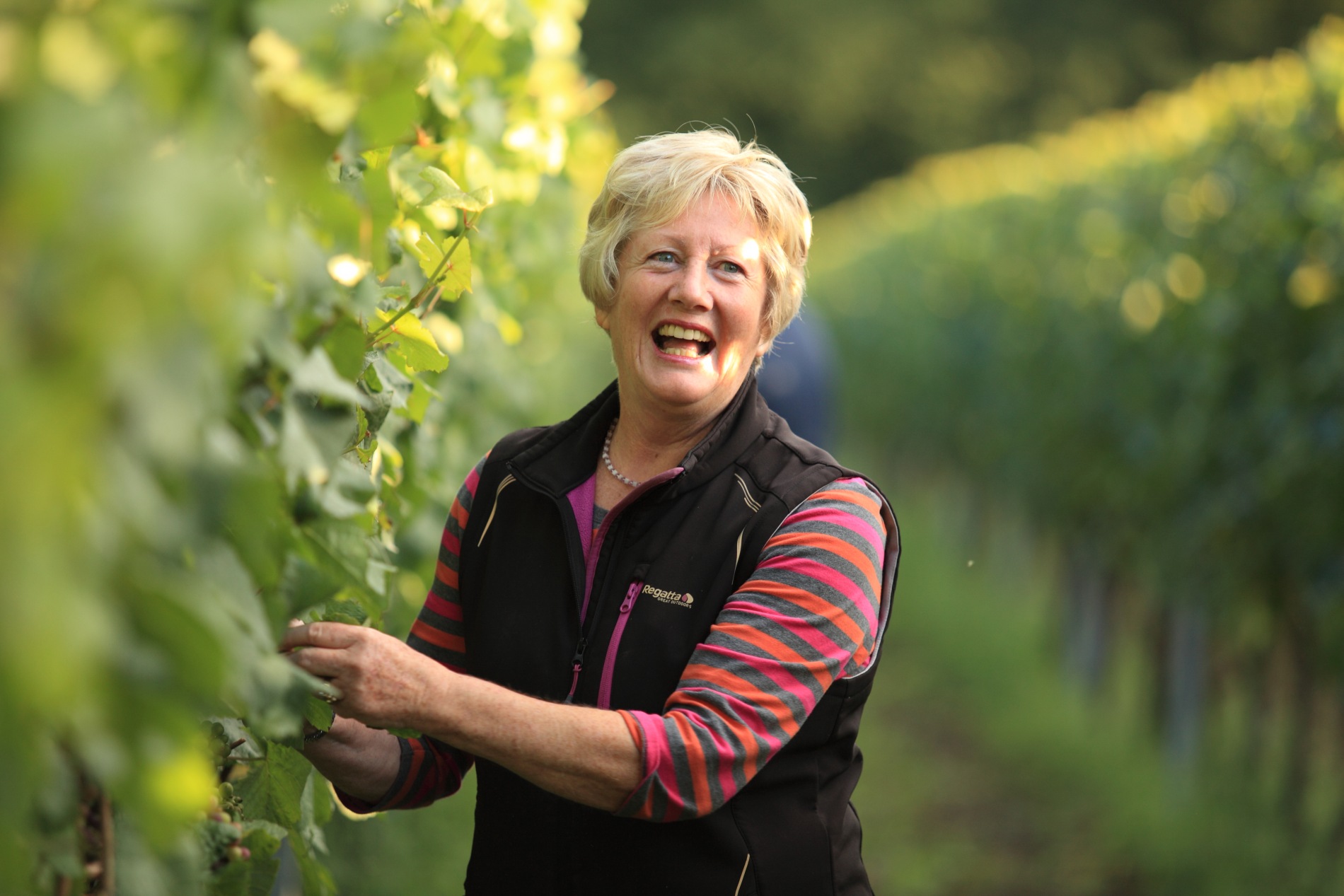 Barbara Laithwaite tending to vines at Wyfold Vineyard