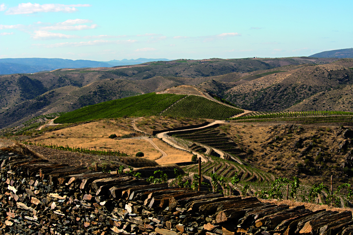 Overlooking vines in Portugal's Douro Valley