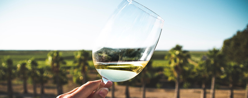 A glass of white wine being held up against a vineyard - wine body