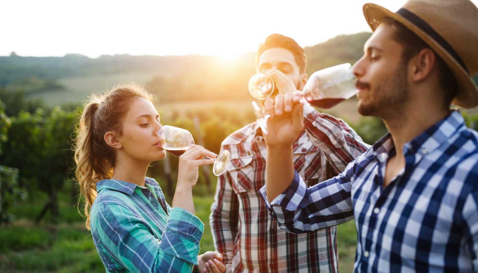A group of people tasting wine at a vineyard - wine tips