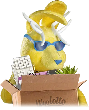 Yolo holding a moving box